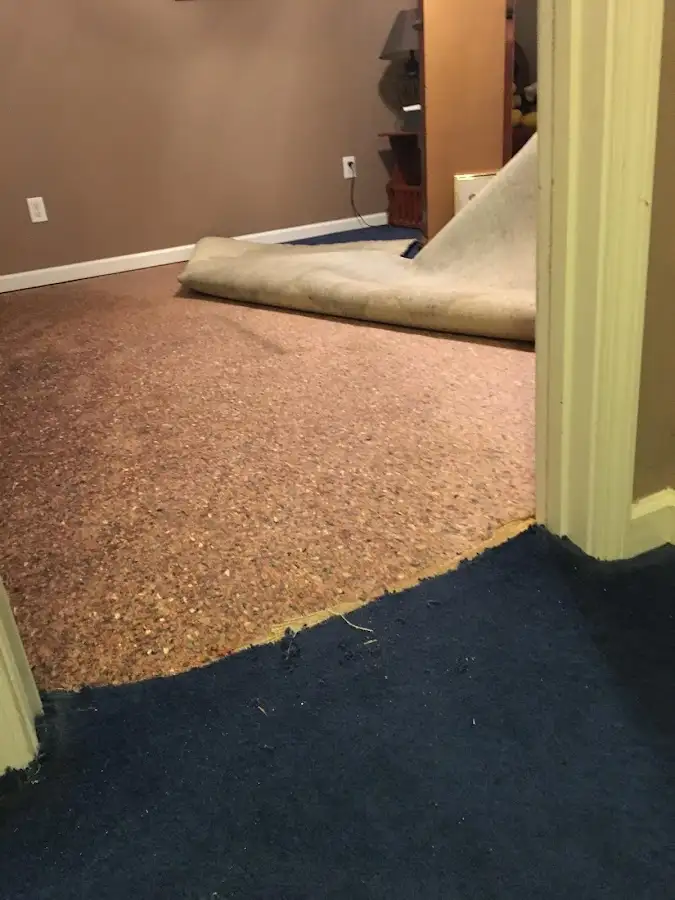 Carpet pad removal revealing water damage during Drying & Dehumidification in Harrison