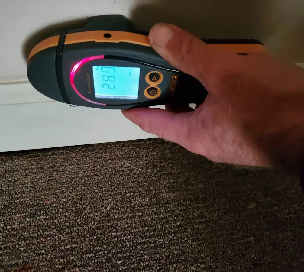 Moisture detection at baseboard during Sewage Cleanup & Sanitation in Harrison